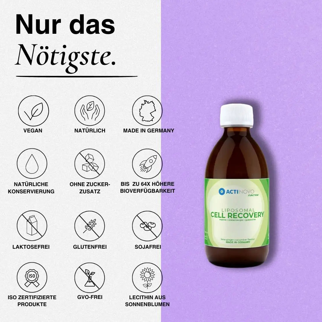 Liposomales Cell Recovery | Gurke, Ingwer & Limette