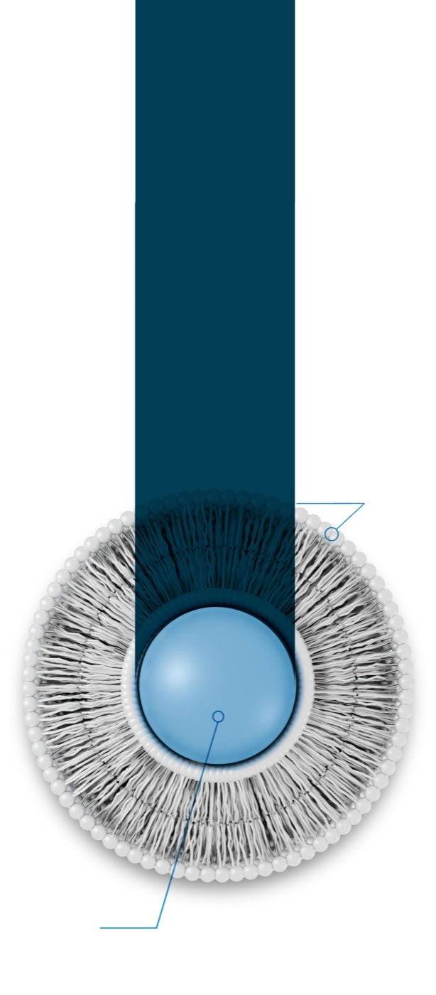 ActiNovo Liposom